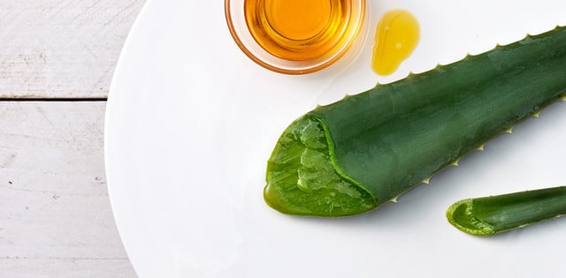 Una hoja cortada de aloe vera yace sobre un plato blanco junto a un pequeño recipiente de vidrio que contiene un líquido ámbar, probablemente miel, sobre una superficie de madera clara.